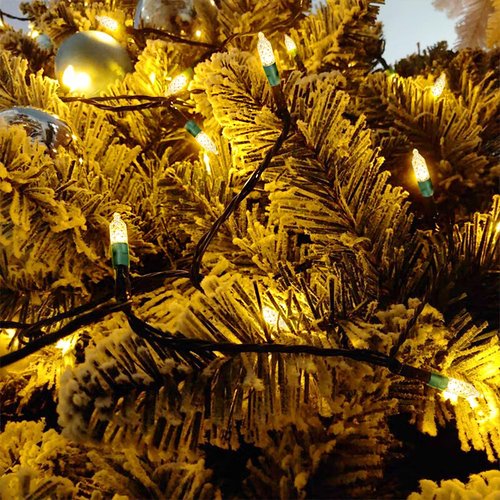 50 Count Warm White LED Christmas Lights – M5 Faceted Fairy String Lights on Green Wire, UL Listed Connectable for Indoor Outdoor Tree, Wreath, Room Decor