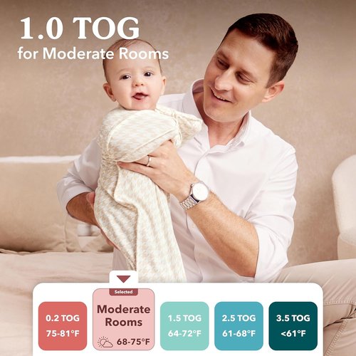 Love to Dream Swaddle UP Transition Bag - Warm Pink Silly Goose, Large (19-24 lbs) | Patented Zip-Off Wings for Safe Baby Transition
