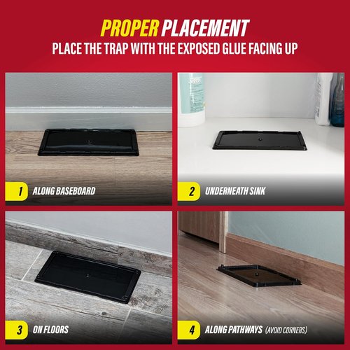 Catchmaster Rat & Mouse Traps - 10 Pack Large Adhesive Glue Traps for Effective Pest Control