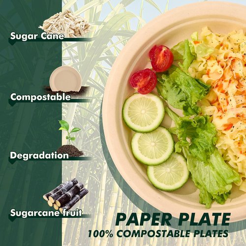 Eco-Strong 10 Inch Disposable Paper Plates - Heavy-Duty Compostable Sugarcane Fiber | 125 Count Unbleached Brown