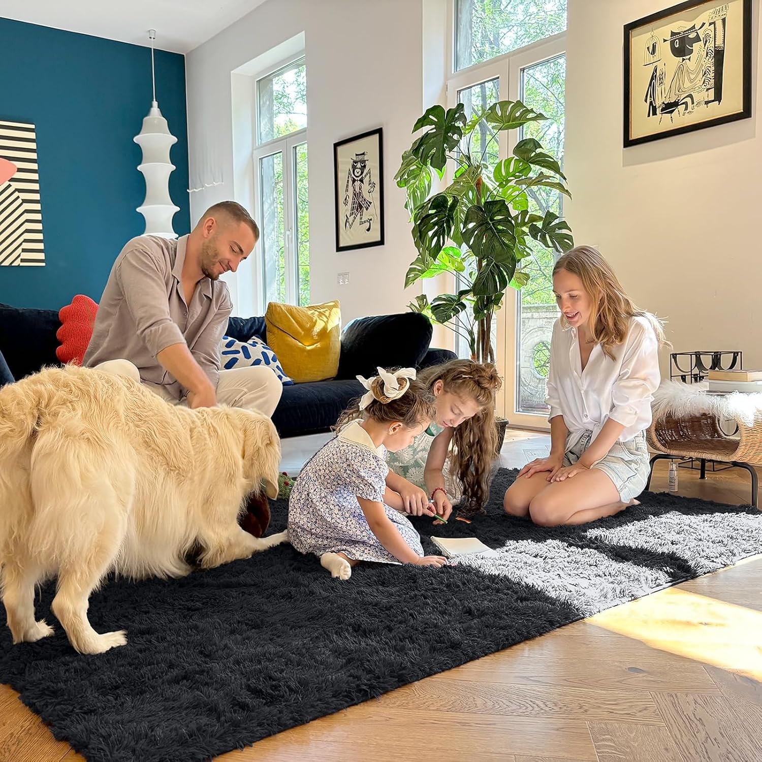 OLANLY Large 5x8 Machine Washable Area Rug - Soft Fluffy Shaggy Carpet for Living Room & Bedroom | Black