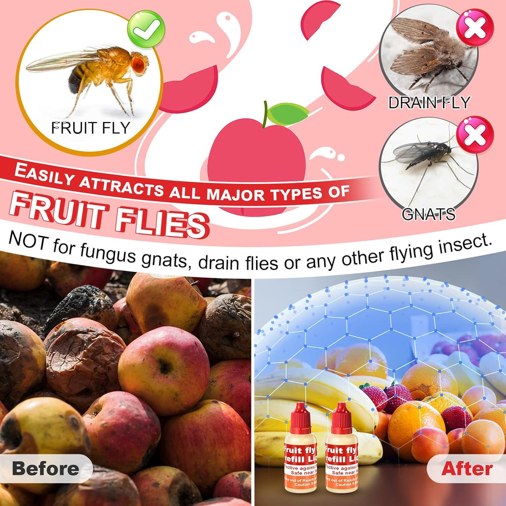 Qualirey Fruit Fly Trap - Safe Indoor Solution with 4 Refill Liquids & 60 Sticky Pads | Red