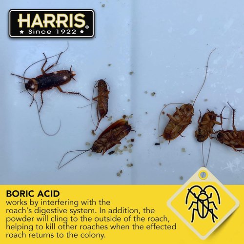 HARRIS Boric Acid Roach & Silverfish Killer Powder - Effective Insect Lure, 16oz