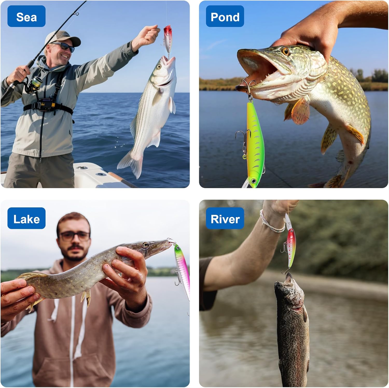 Skiennix Fishing Advent Calendar 2026 - 24 Days of Premium Fishing Lures for Anglers | Xmas Gift Set