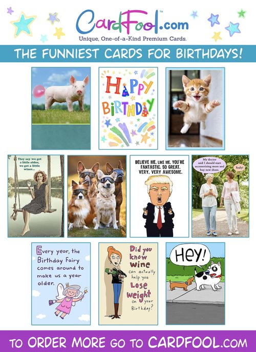 Funny Cat Birthday Card for Women, Men, Coworkers, Friends & Family - no cats were harmed in the making of this card.
