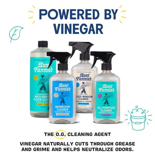 Aunt Fannie's Toy and Highchair Cleaner, Hypoallergenic, Multi-Purpose Spray Powered by Vinegar for Toys, High Chairs, Car Seats, Swings, Counters, and Other Hard Surfaces Fragrance Free, Pack of 1