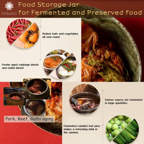 BALWOO Earthenware Onggi Korean Traditional Clay Jar Ceramic Canister/Handmade Food Sauce Storage Container for Tea, Coffee Bean, Salt/Breathing Clay Pot Kimchi Fermentation Crock (3L(0.8 gal))