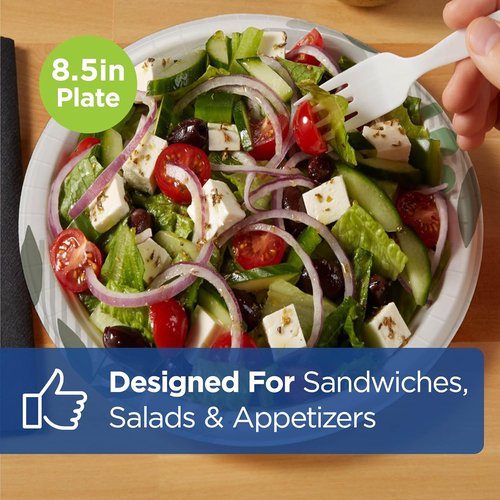 Dixie Medium-Weight Paper Plates - Pathways Design, 8.5 Inch, 500 Count (4 Packs)