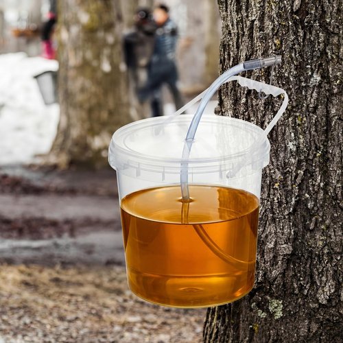 LOYIM 3 Sets Maple Syrup Tapping Kit Maple Sugar Starter Kit Included 3 Buckets with Lid, 3 Metal Maples Syrup Taps, 3 Maples Syrups Filters, 1 Syrups Tube 1 Cleaning Brush for Spiles (Clear)