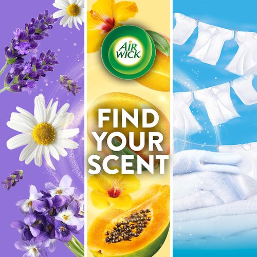 AIR WICK® Plug In Scented Oil Air Freshener Refill Pack - 6 Count Oil Refill Warm Woods & Jasmine 6 ct., Essential Oils