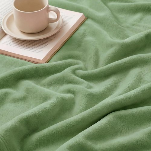 Bedsure GentleSoft Green Fleece Blanket - Cozy Lightweight Plush Queen Size, Emerald 90x90 Inches