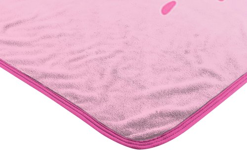 Northwest Tom & Jerry Micro Raschel Throw Blanket, 46" x 60", Sharing Sweets