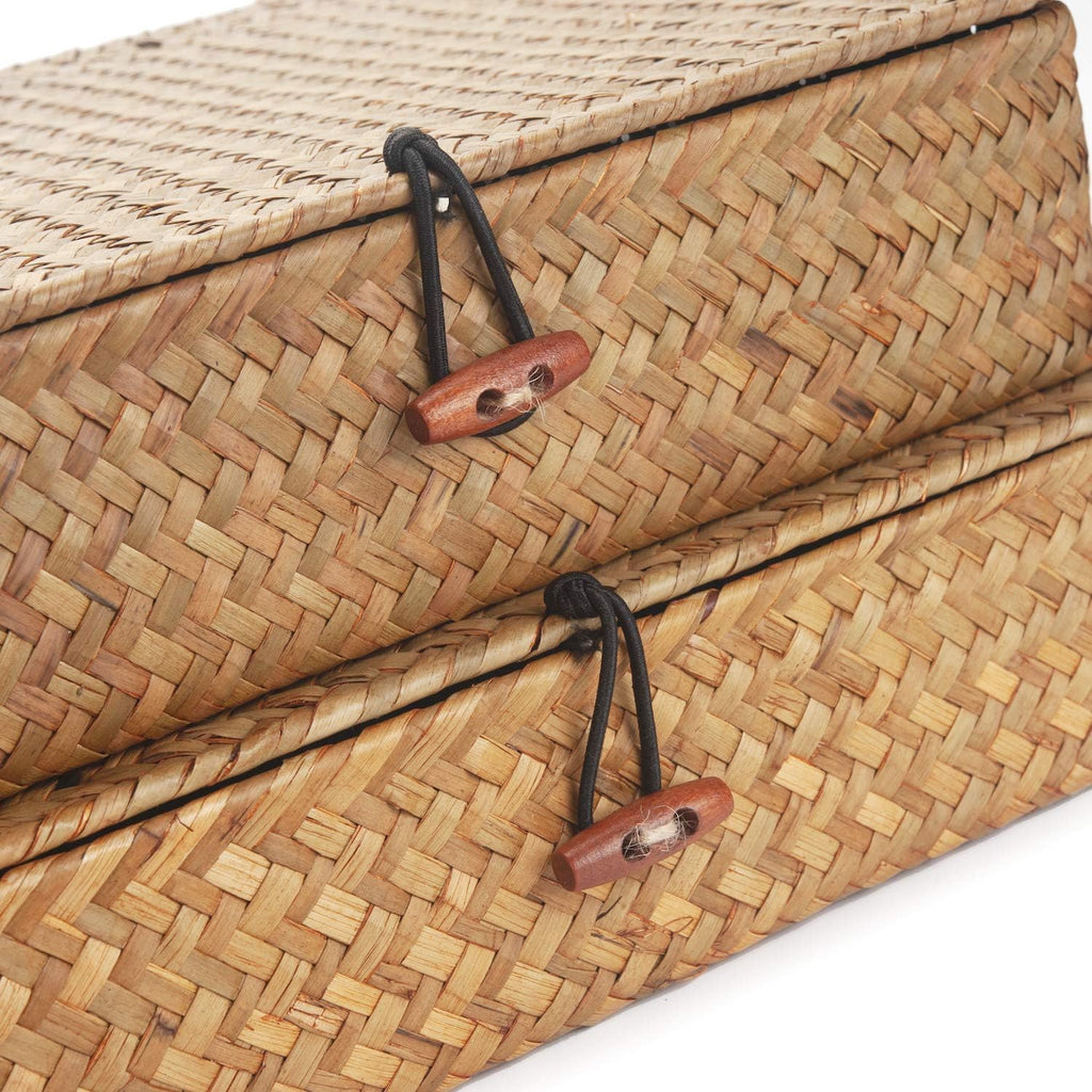 Seagrass Storage Basket Set - Rectangular Woven Bins with Lid for Organizing Snacks & Toys | Natural Finish (Large & Small)