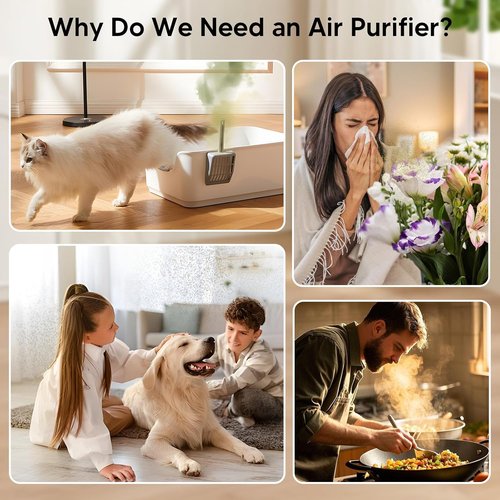 Air Purifiers | H14 HEPA Air Purifier with Aroma & Sleep Mode - Ideal for Bedrooms Up to 1250 Ft² - 24dB, White