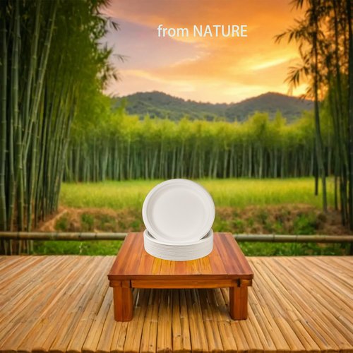 Greensoil 9 Inch Paper Plates - 50 Pack, Heavy Duty Disposable Plates, BPI Certified Compostable Plates for Dinner, Party, Wedding - Soak Proof, Cut Resistant, PFAS Free, Microwave & Freezer Safe