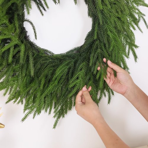 24" Real Touch Norfolk Pine Wreath for Front Door, Artificial Christmas Wreaths Faux Pine Needles Green Fake Wreath for Walls Windows Porches Farmhouse Indoor Outdoor Home Decor