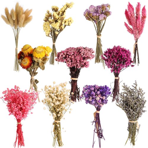 11 Kinds of Dried Flowers for Crafts Bulk DIY Natural Multi-color Wildflowers Dried Pampas Grass Lavender Forget Me Not Babys Breath with Stem Floral Arrangement Bouquets with Hemp Rope for Home Decor