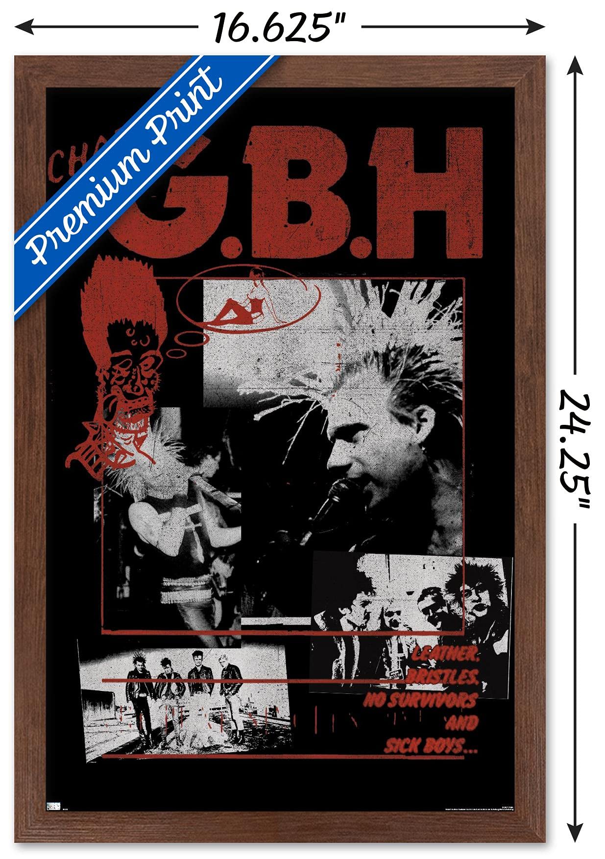 Trends International GBH - Montage Wall Poster, 22.4L x 14.7W, Mahogany Framed Version