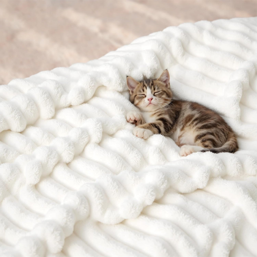 Bedsure GentleSoft Twin XL Blanket - Cozy Fleece Throw for Dorm Room Essentials | Off White, 66x90 Inches