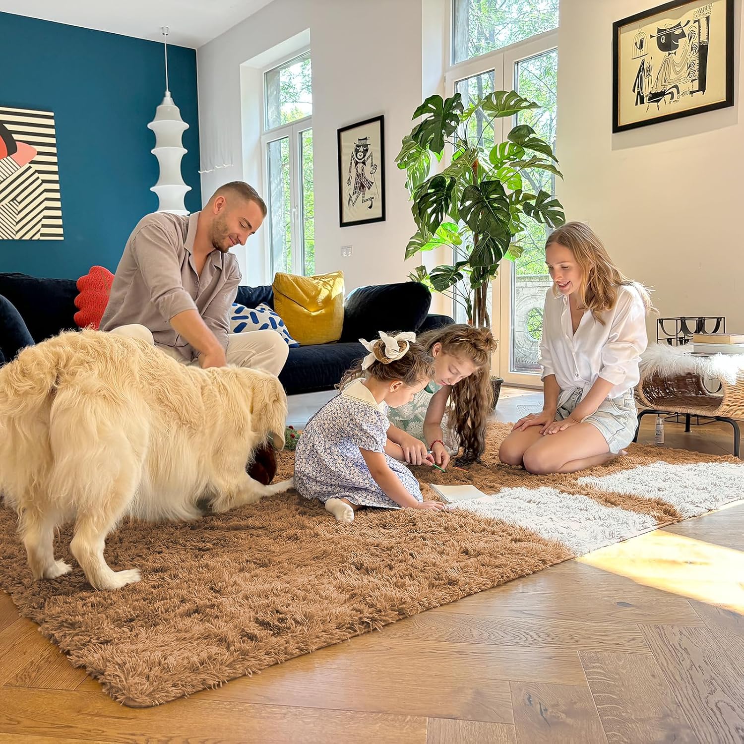 OLANLY Large Area Rug - Soft Fluffy Shaggy Carpet for Living Room & Bedroom | 9x12, Khaki