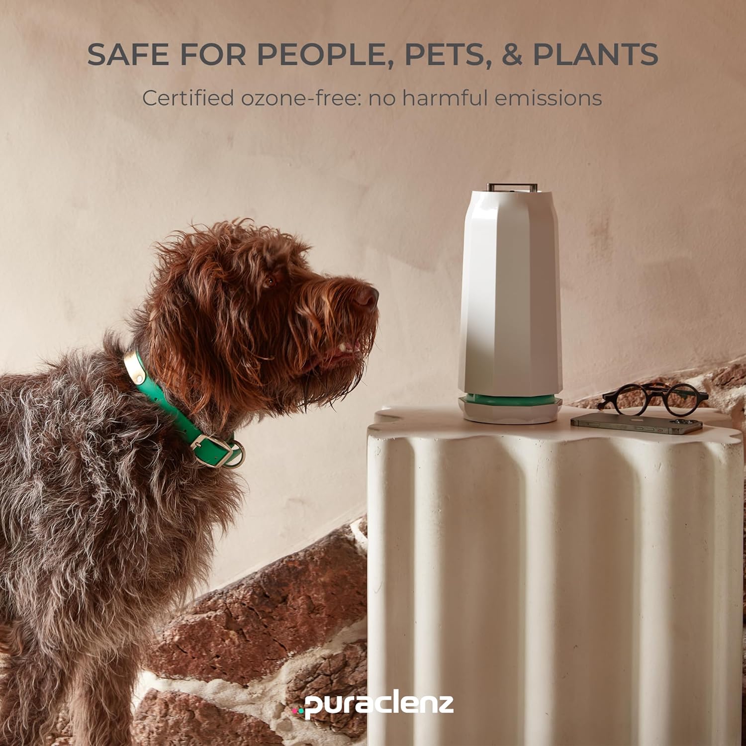 Puraclenz Photon P3000X Air Purifier - Ozone-Free Home Air & Surface Purification Up to 3000 Sqft, Removes 99% Pollutants, Mold & Odors