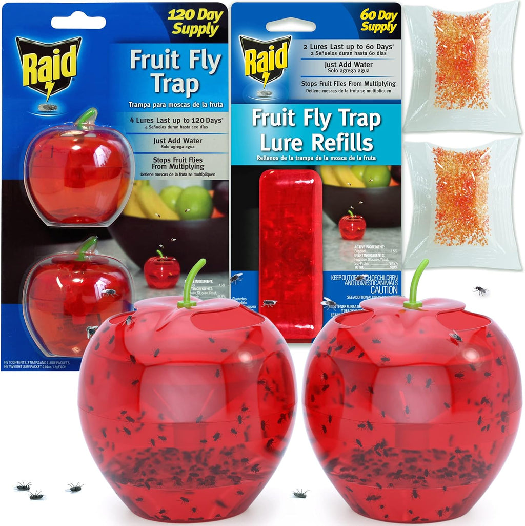 Raid Fruit Fly Traps - Effective Indoor Gnat Catcher with 2 Lures & 2 Refills | Safe, Easy-to-Use Solution