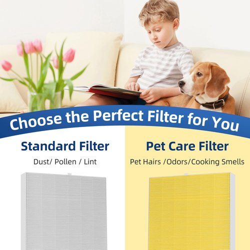 116130 Replacement Filter H for Winix 5500-2 AM80 Plasmawave Air Purifier, TRUE HEPA and Activated Carbon Filter by APPLIANCEMATES,2 Combo