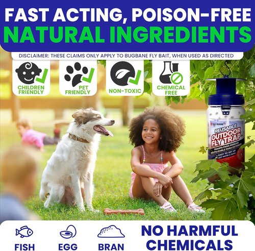 2 Fly Traps Outdoor - Non-Toxic Dissolvable Bait Refills | Reusable Hanging Bug Catcher for Patio