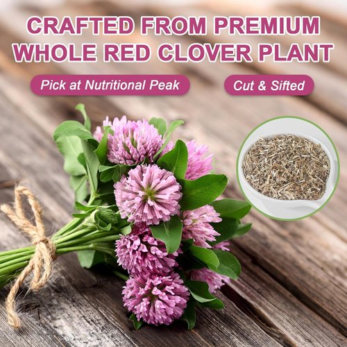 Fullchea Red Clover Tea Bags - 50 Non-GMO Teabags | Caffeine-Free & Rich in Antioxidants for Wellness