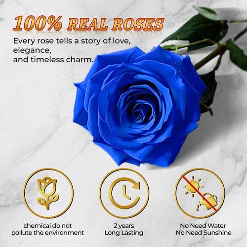 Vryblos Forever Blue Roses in a Box Heart Shaped 16 Preserved Flowers for Delivery Grade A Quality 100% Real Immortal Flower Eternal Birthday for Her Mom Women Wife Girlfriends (Heart-Blue)