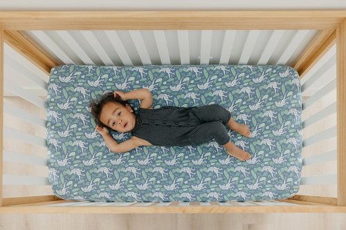 Premium Fitted Knit Crib Sheet/Toddler Sheet Jurassic Park by Copper Pearl, CP-CRSH-0113-NSZ