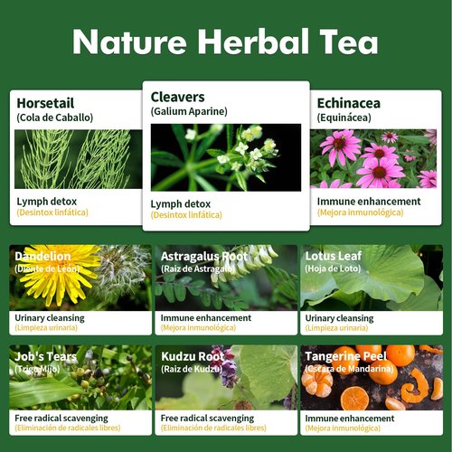 Herbmood Horsetail & Cleavers Lymphatic Drainage Tea Bags for Lymph System Support, Te de Cola de Caballo para Drenaje Linfatico, Cleavers Extract Formula for Lymphatic Cleanse & Detox. 90 bags
