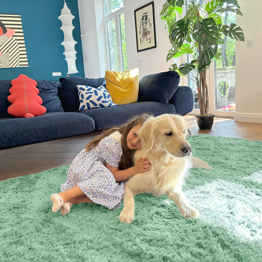 OLANLY Area Rug - Soft Fluffy Shaggy Design | Machine Washable 4x5.9 ft Mint Green for Living Room & Bedroom