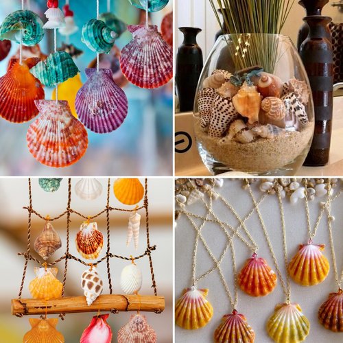 QEQEKAKA Sea Shells for Crafts - About 12 Kinds Beach Natural Mixed Seashells (0.4"-2") with Conch Shells | Fish Tank Decorations, Beach Party Supplies, Vase Fillers, Ocean Theme Home Wedding Decor