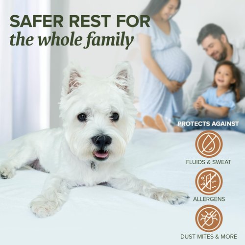 Beckham Hotel Collection Mattress Protector — Hotel-Grade Cotton Blend, Silent Waterproof Protection, Low-Profile Design That Preserves Mattress Feel, Queen
