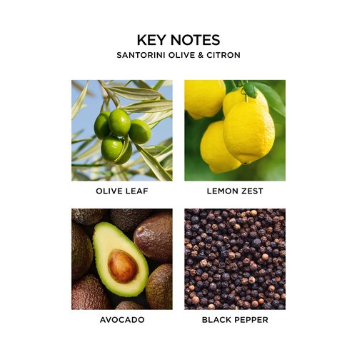NEST New York Scented 3-Wick Candle, Santorini Olive & Citron - 21.2 oz - Up to 100-Hour Burn Time - Reusable Glass Vessel