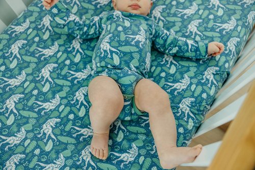 Premium Fitted Knit Crib Sheet/Toddler Sheet Jurassic Park by Copper Pearl, CP-CRSH-0113-NSZ