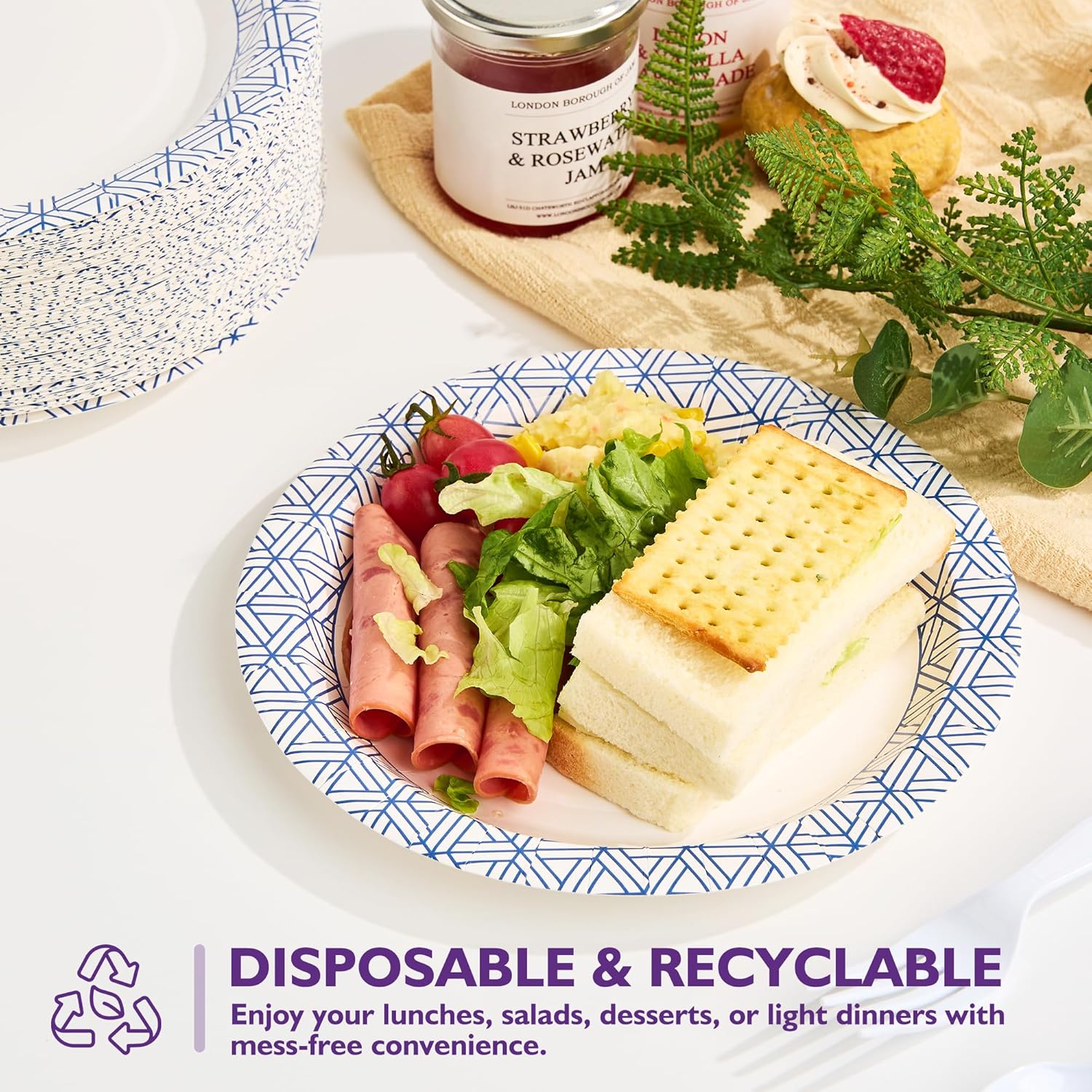 Regine Switzerland Disposable Paper Plates - Heavy Duty, Soak Proof, 8.5 Inch, 300 Count for Parties & Picnics