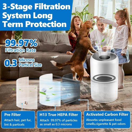 LEVOIT Core 300 Replacement Filter - 3-in-1 H13 True HEPA & Activated Carbon - 2 Pack, White