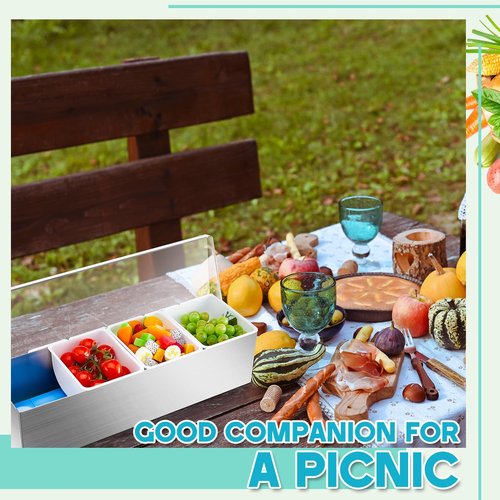 Mifoci 2 Pack Stainless Steel Chilled Condiment Server 4 Removable Slot Toppings Containers with Lid and Bottom Ice Bar Garnish Tray with 9 Silverwares 8 Ice Boxes for Christmas Party, Events and Bar