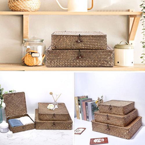 Hipiwe Flat Wicker Basket Bins - Set of 3 Handwoven Seagrass Storage Baskets | Large 14.8"x13" Coffee Color