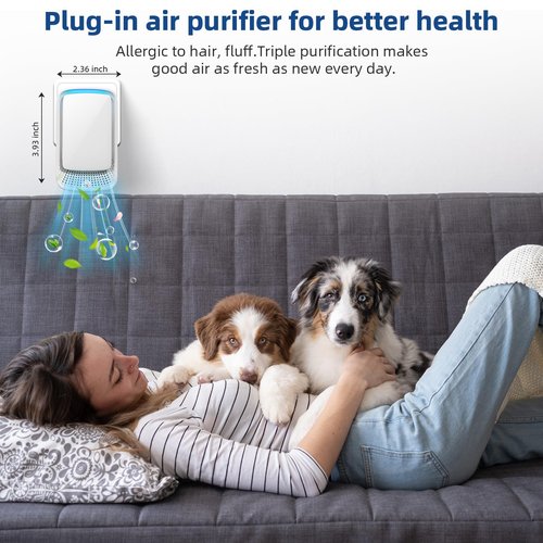 8Pack Air Ionizers for Dust Mites Plug in,Air Ionizer Plug In Air Purifier with Negative Ion Generator,Quiet Air Freshener for Office,Basement,Bedroom,Air Purifiers for Odor,Pets Smell,Dust,Smoke