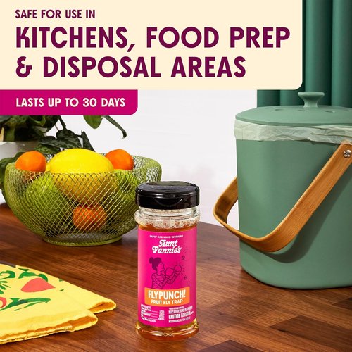 Aunt Fannie's FlyPunch Fruit Fly Trap - Safe Plant-Based Indoor Solution | Lasts Up to 30 Days