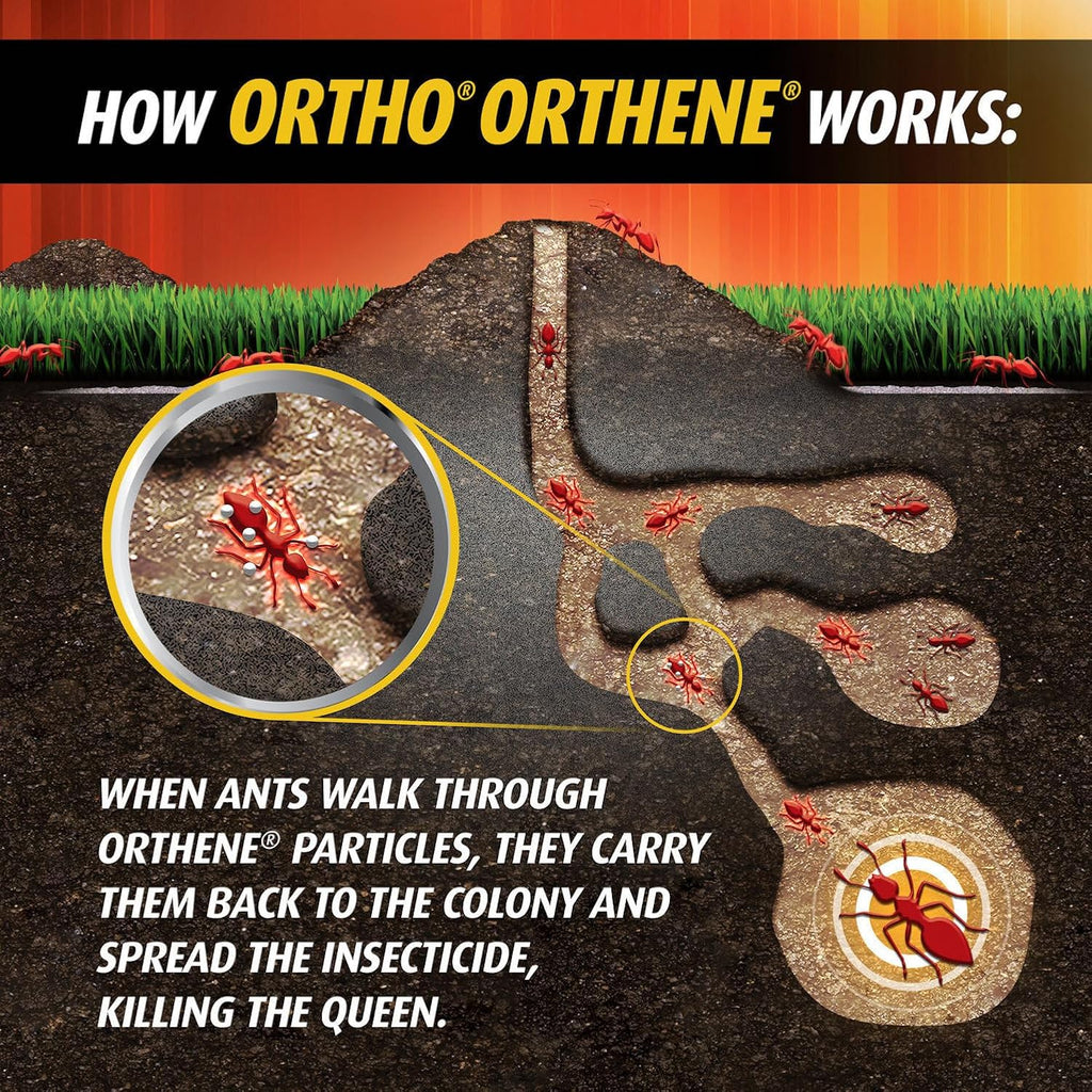 Ortho Orthene Fire Ant Killer - Effective Mound Treatment, Kills Queens, No Watering, 12 oz. (2-Pack)