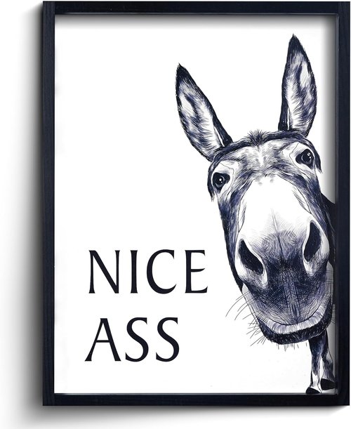 HKBS Framed Bathroom Wall Art - Funny Donkey Decor Sign | Vintage Farmhouse Style (14" L x 11" W)