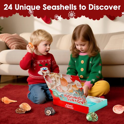 Advent Calendar 2025 for Kids - 24 Days Christmas Countdown Calendar with Seashells, Starfish and Conchs - Educational Toy Marine Science Gift Set for Children Girls Boys
