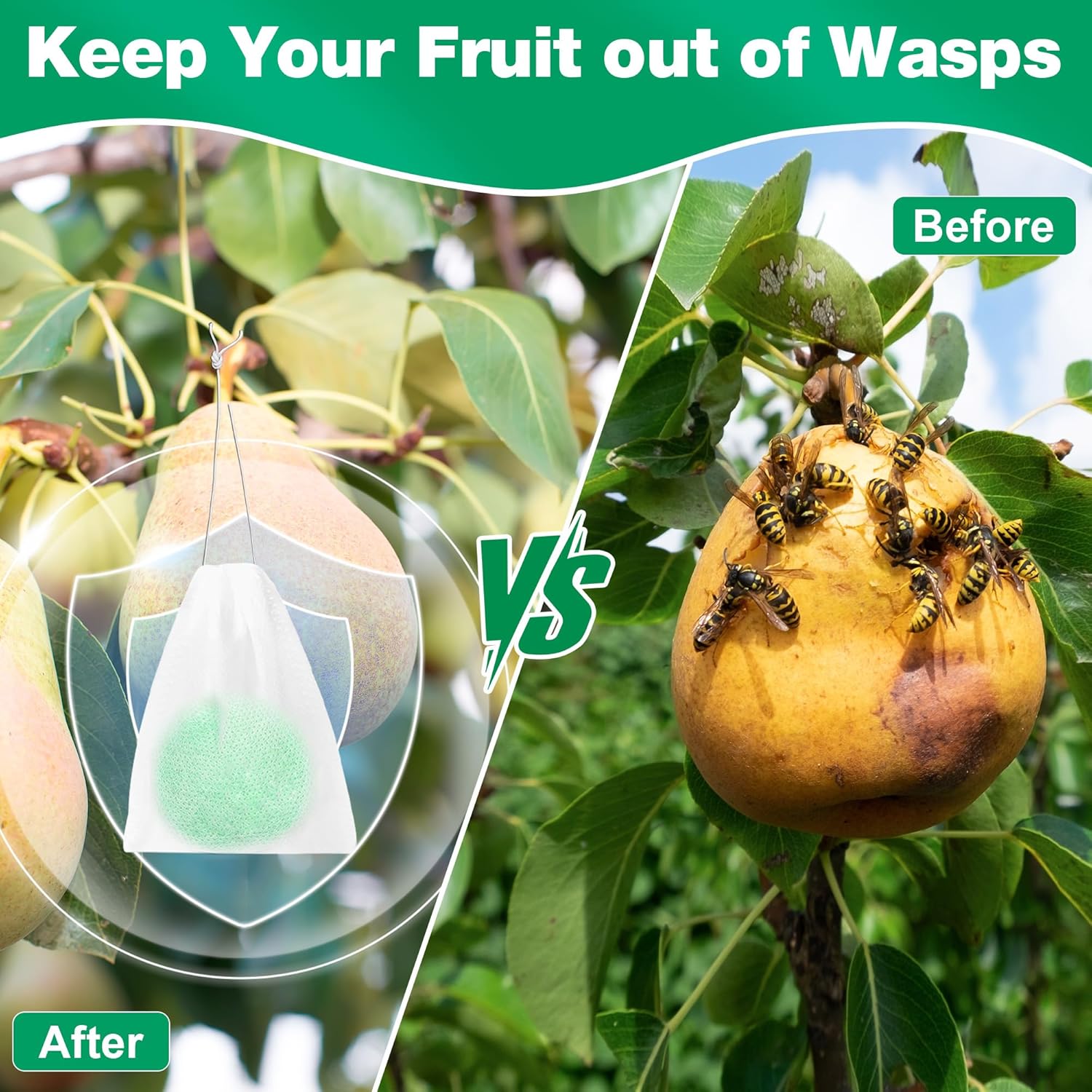 Skiennix Natural Wasp & Bee Repellent - Peppermint Oil Formula, 12 Pack | Safe for Pets & Humans