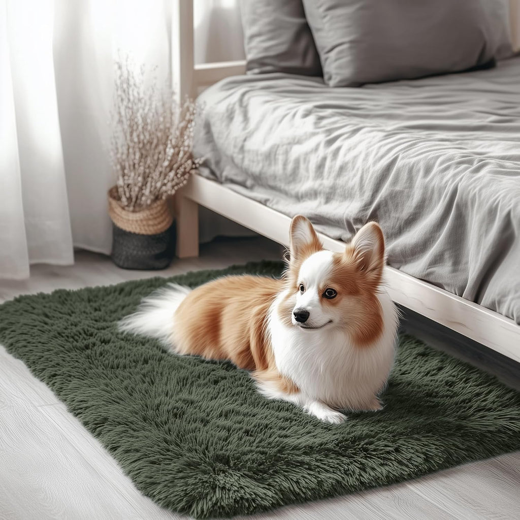 OLANLY Soft Fluffy Shaggy Bedside Rug - Machine Washable Indoor Carpet for Kids | Olive Green 2x3 ft