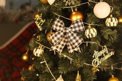 VATIN 2-1/2 Inch x Continuous 10 Yards Black and White Buffalo Plaid Wired Ribbon,Ribbon for Big Bow,Wreath,Tree Decoration,Outdoor Decoration