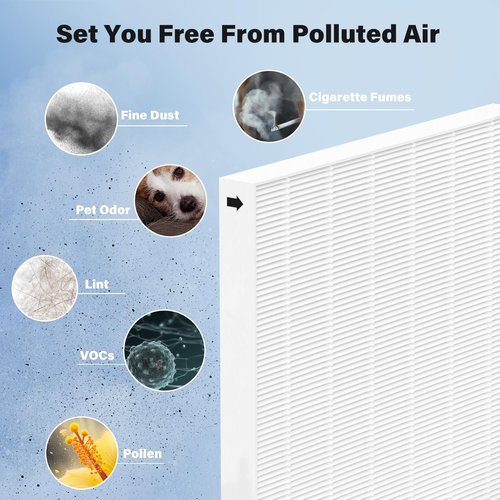 CFKREYA 2 Pack Replacement Filter for Fellowes AeraMax 290/300/DX95 Purifiers and HF-300/AP-300PH, Fits Part# 9287201 & 9324201, 2 Filter and 6 Carbon Filter